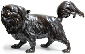 Japanese Bronze Pekinese Dog