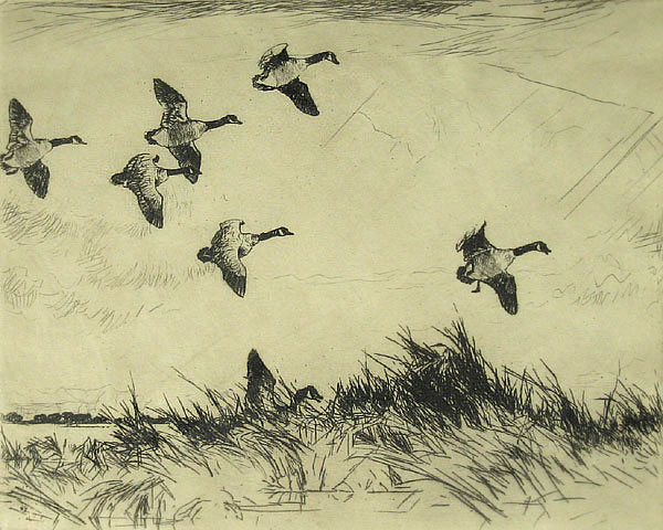 Frank Benson - Geese Over the Marsh