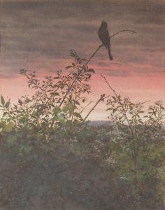Fidelia Bridges - Bird at Sunset