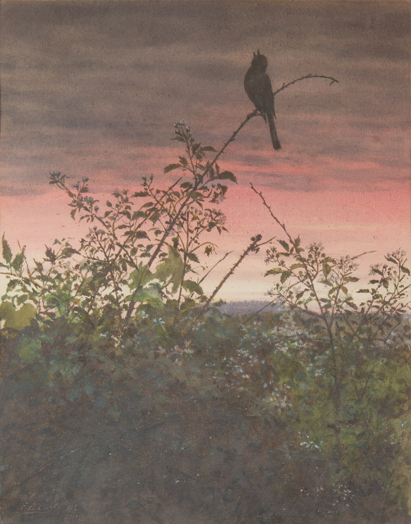 Fidelia Bridges - Bird at Sunset