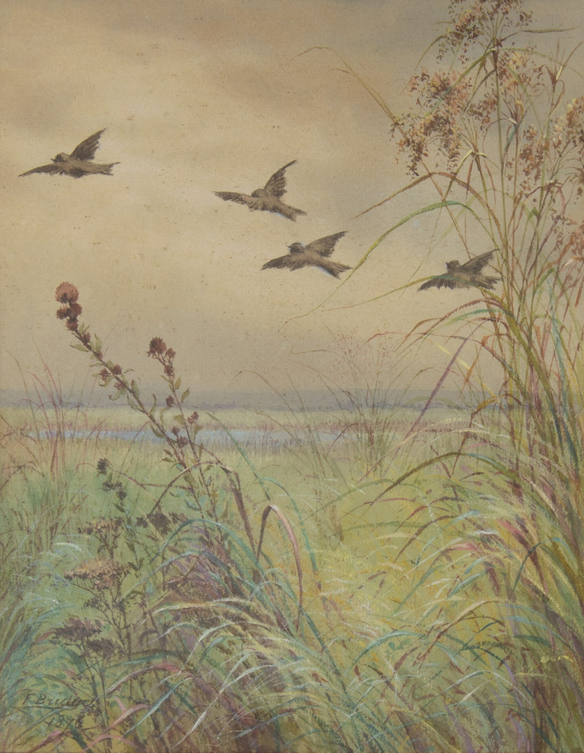 Fidelia Bridges - Birds Flying
