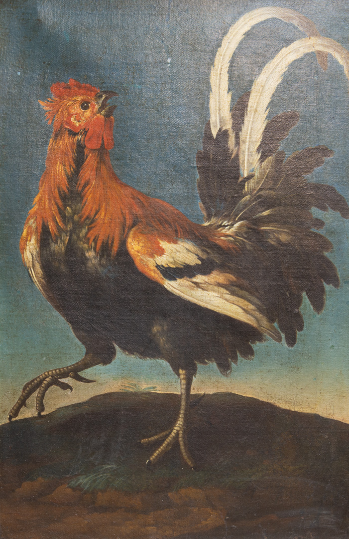 Hungarian School - Rooster