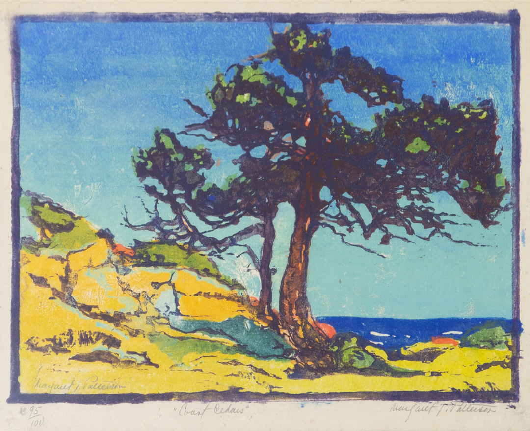 Margaret Patterson - Coast Cedars